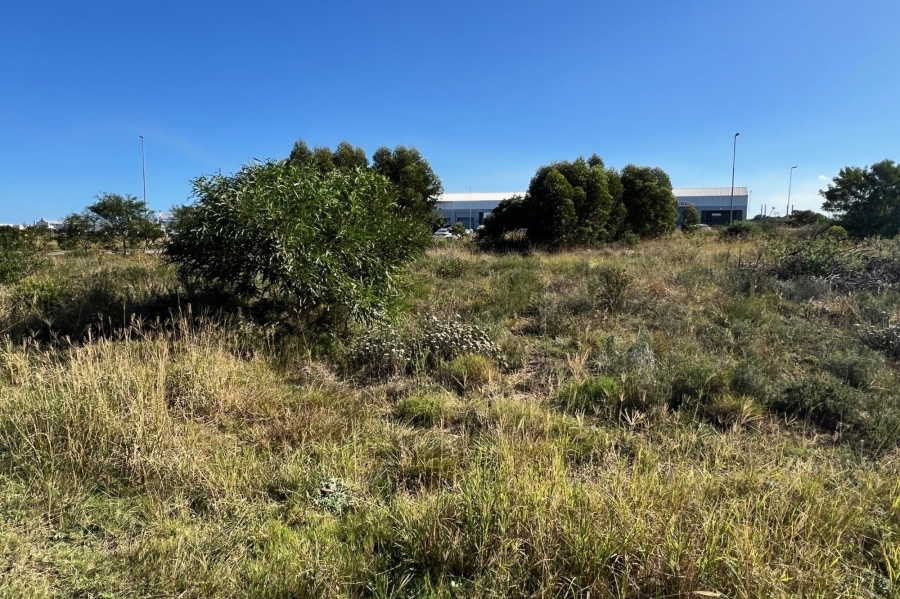 0 Bedroom Property for Sale in Fountains Estate Eastern Cape